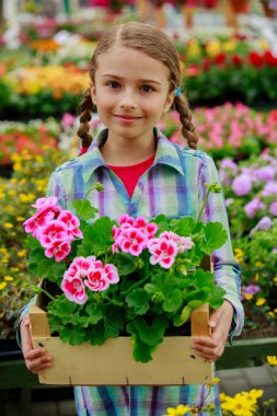 dikim bahçe çiçekleri - kız alışveriş bitki ve çiçek Bahçe Merkezi