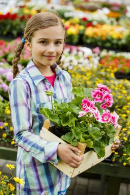 dikim bahçe çiçekleri - kız alışveriş bitki ve çiçek Bahçe Merkezi