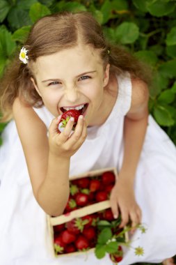 çilek zamanı - çekilen çilek genç kız
