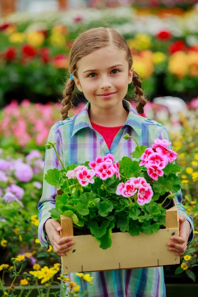 Výsadba, zahradní květiny - dívka nakupování rostlin a květin v zahradnictví — Stock fotografie