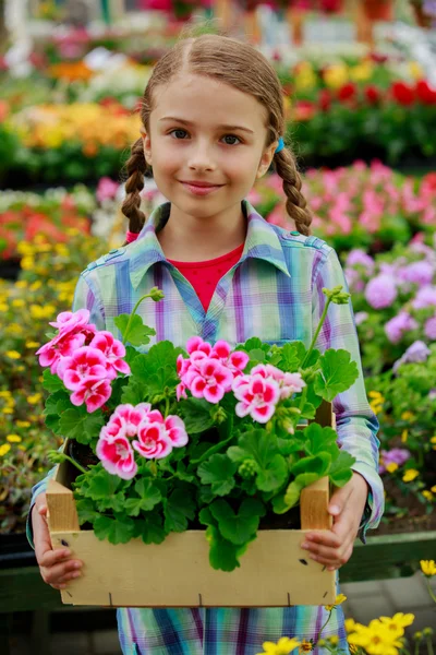 Plantio, flores do jardim - plantas de compras menina e flores no centro do jardim — Fotografia de Stock