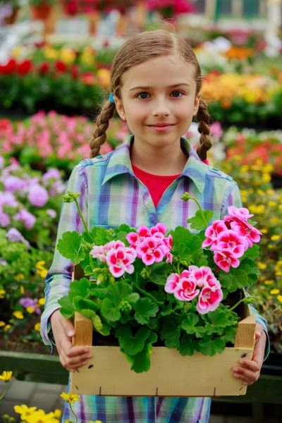 Pflanzen, Gartenblumen - Mädchen kauft Pflanzen und Blumen im Gartencenter ein — Stockfoto