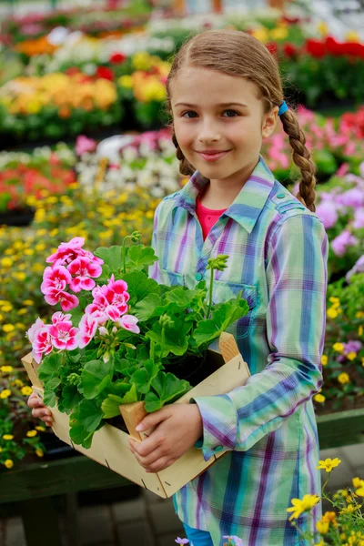 Plantación, flores de jardín - muchacha comprando plantas y flores en el centro de jardín — Foto de Stock