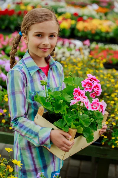 Plantio, flores do jardim - plantas de compras menina e flores no centro do jardim — Fotografia de Stock