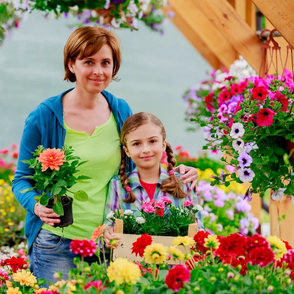 Plantio, flores do jardim - plantas de compras da família e flores no centro do jardim — Fotografia de Stock