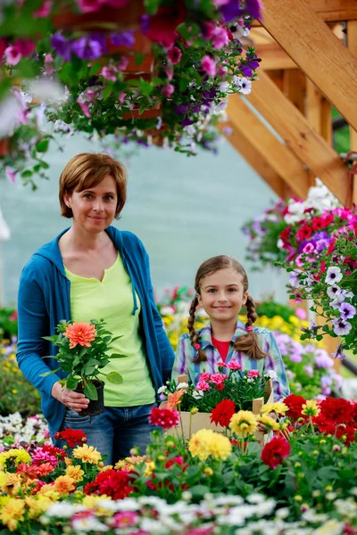 Plantering, trädgård blommor - familjen shopping växter och blommor i garden center — Stockfoto