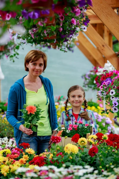Φύτευση, λουλούδια κήπων - οικογενειακή ψώνια φυτά και λουλούδια στο κέντρο κήπων — Φωτογραφία Αρχείου