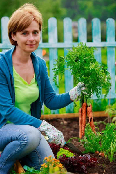 Jardinage, culture - femme et carottes biologiques — Photo