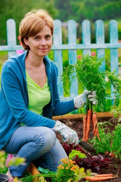 Gartenarbeit, Anbau - Frau und biologisch angebaute Karotten — Stockfoto