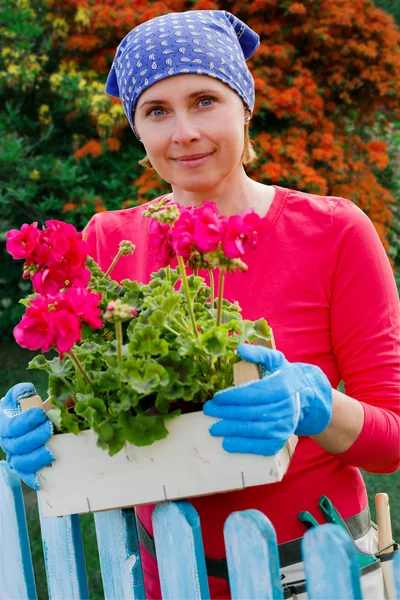 Giardinaggio - donna che lavora in giardino di fiori — Foto Stock