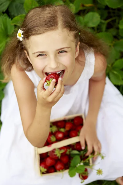 Strawberry time - young girl with picked strawberries — Stock Photo, Image