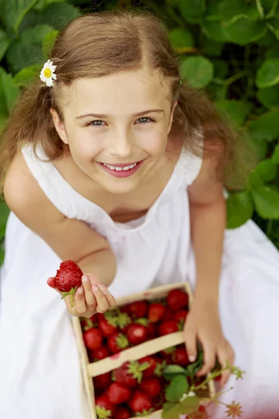Strawberry time - young girl with picked strawberries — Stock Photo, Image