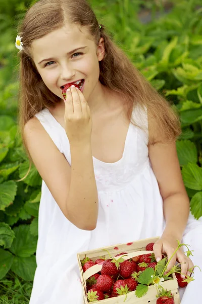 Strawberry time - young girl with picked strawberries — Stock Photo, Image