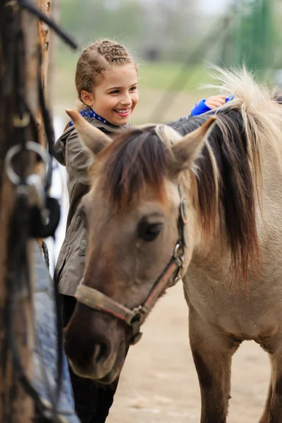 Caballo y chica ecuestre encantadora — Foto de Stock