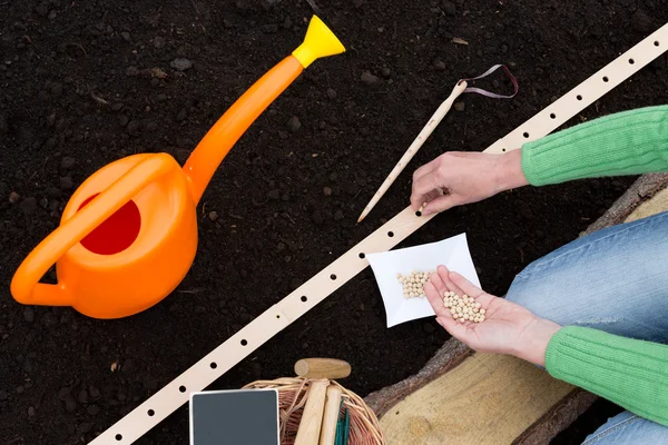 Giardinaggio, semina - donna che semina semi nel terreno — Foto Stock