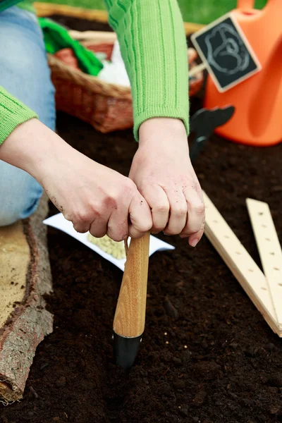 Gardening, sowing - woman sowing seeds into the soil — Stock Photo, Image