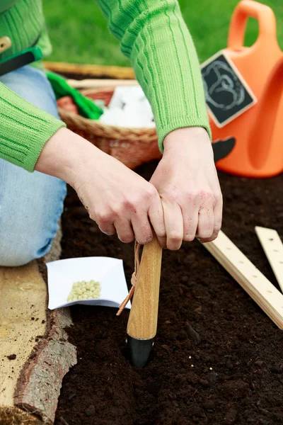 Jardinería, siembra - mujer sembrando semillas en el suelo — Foto de Stock