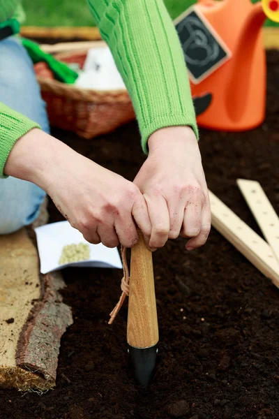 Gardening, sowing - woman sowing seeds into the soil — Stock Photo, Image