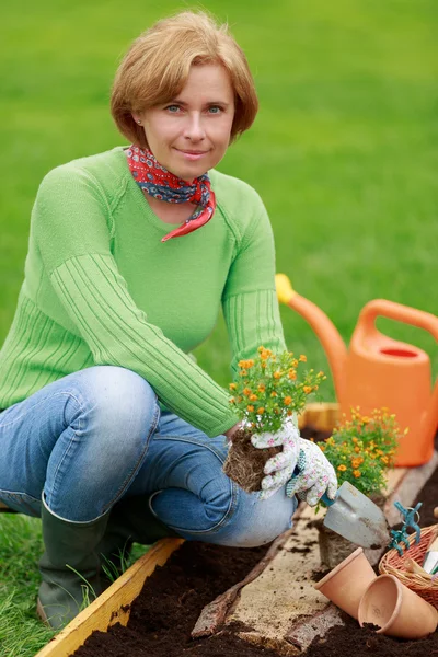 Trädgårdsskötsel, plantering - kvinna plantera blommor i trädgården — Stockfoto