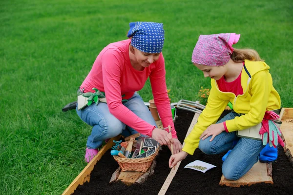 Gardening - sowing seeds to the soil — Stock Photo, Image