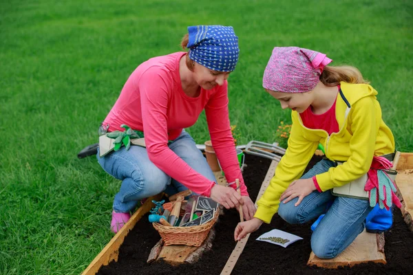 Gartenarbeit - Samen in den Boden säen — Stockfoto