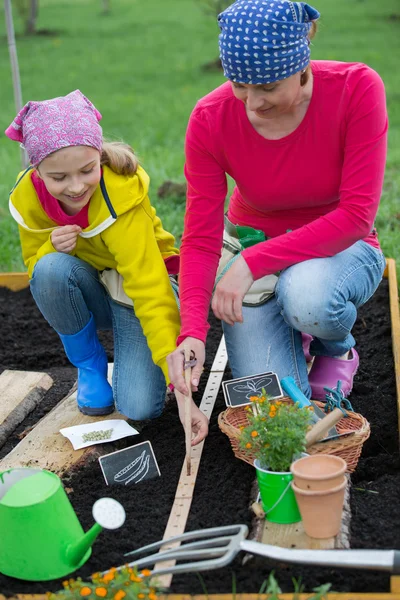 Gardening - sowing seeds to the soil — Stock Photo, Image