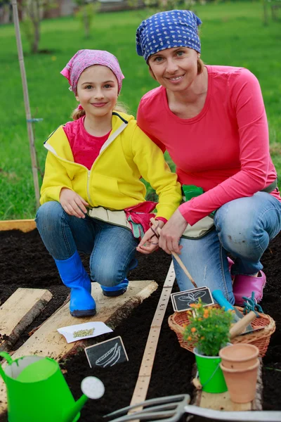 Jardinería - sembrar semillas en el suelo — Foto de Stock