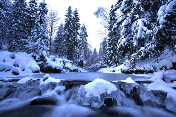 Rivière de montagne hiver — Photo