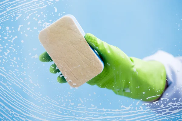 Reinigung - Scheibe mit Spülmittel reinigen — Stockfoto