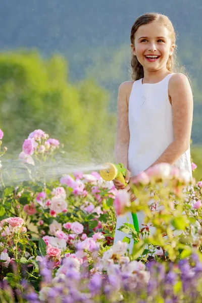 夏の庭、散水 - 美しいばらに水をまく少女 — ストック写真