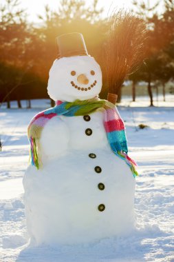 kış, kar, kardan adam - kış sevinç