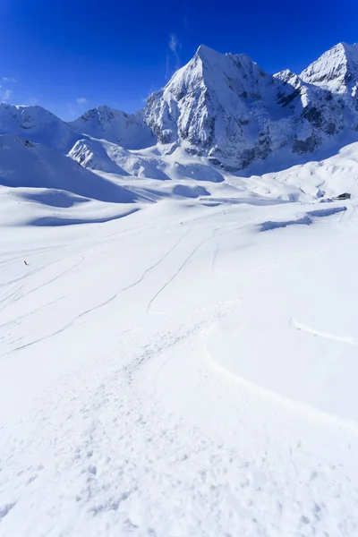 Esqui, esporte de inverno, montanhas de inverno - freeride em pó fresco — Fotografia de Stock