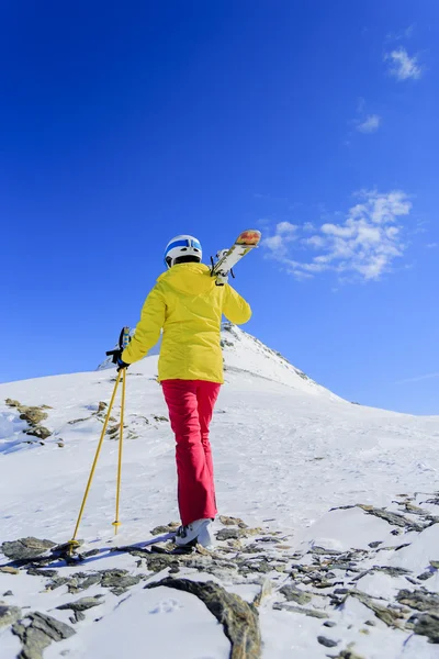 Esqui, esquiador, Freeride em neve fresca em pó — Fotografia de Stock