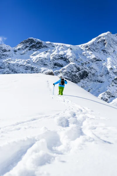 Skiing, Skier, Freeride in fresh powder snow — Stock Photo, Image