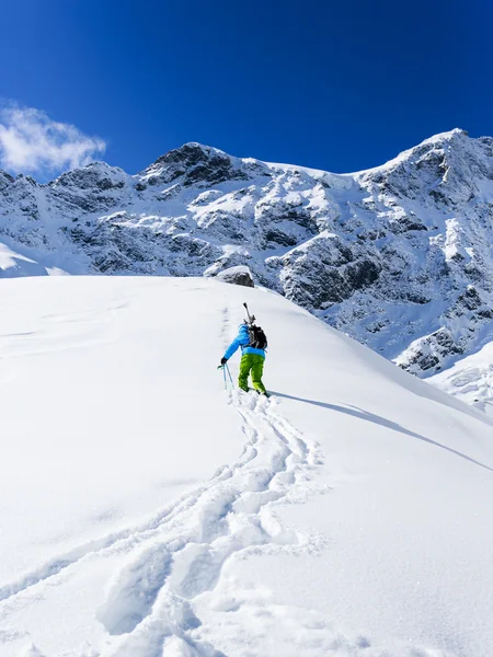 Ski, skieur, freeride dans la neige fraîche en poudre — Photo