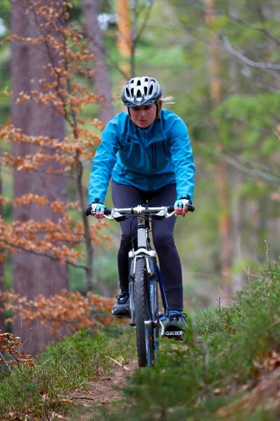 Mountain biking down the trail — Stock Photo, Image