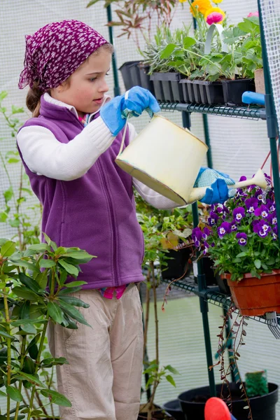 Gärtnern, Pflanzkonzept - hübsches Mädchen gießt Blumen im Gewächshaus — Stockfoto