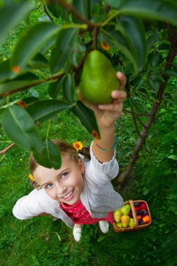 Meyve, meyve - güzel kız malzeme çekme olgun armut