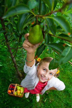 Meyve, meyve - güzel kız malzeme çekme olgun armut