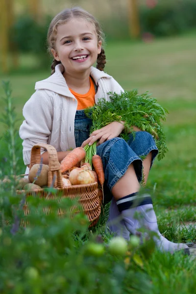 Jardim vegetal, criança - menina encantadora com a cesta de colheitas ecológicas — Fotografia de Stock