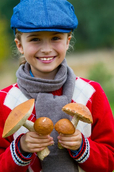 Mushrooms picking, season for mushrooms — Stock Photo, Image