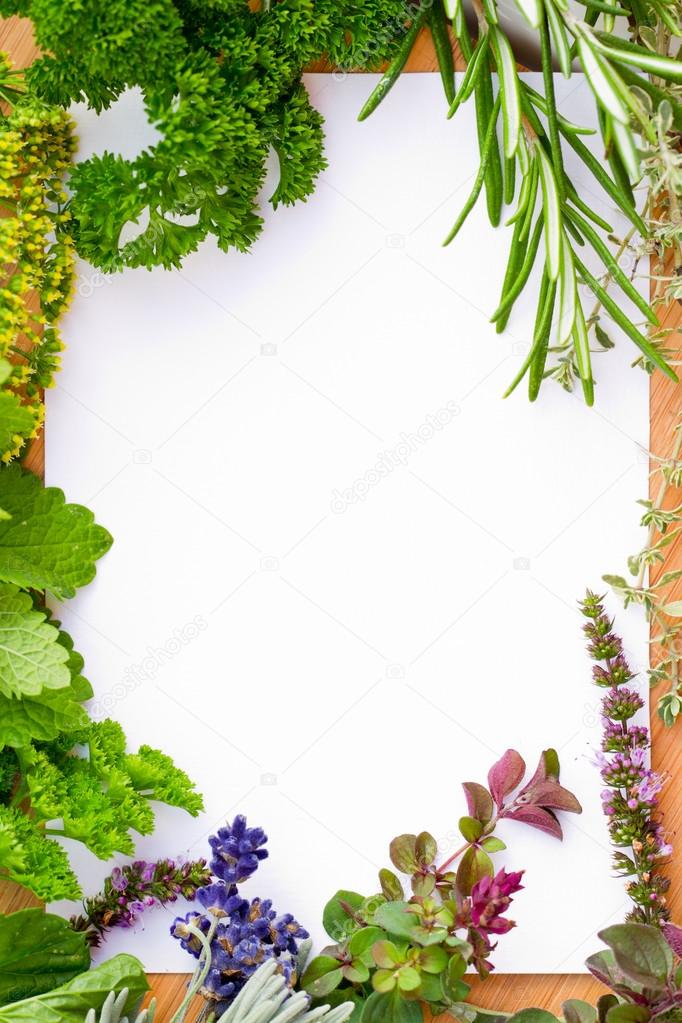 Herbs frame over white background ⬇ Stock Photo, Image by © Gorilla