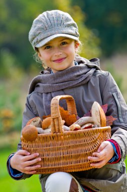 toplama mantar, mantar sezonu.