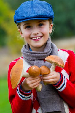 toplama mantar, mantar sezonu