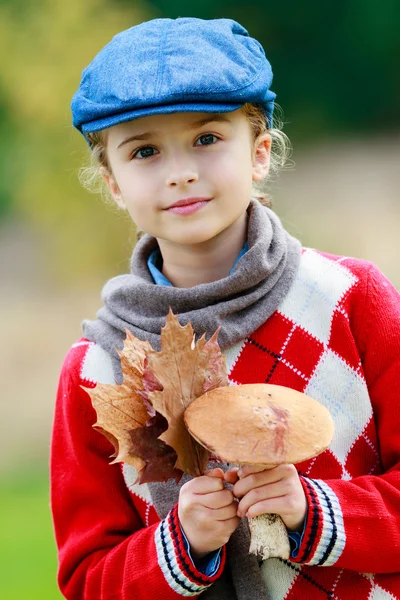 Mushrooms picking, season for mushrooms — Stock Photo, Image