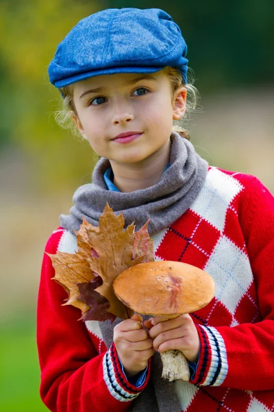 Mushrooms picking, season for mushrooms — Stock Photo, Image