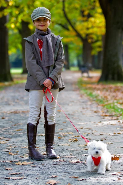 Jesienny spacer z puppy - moda dziewczyna z maltańskie puppy w parku jesień — Zdjęcie stockowe