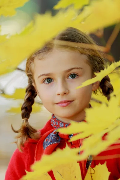 Осінь - мила дівчина насолоджується осені — стокове фото