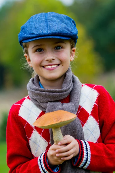 Mushrooms picking, season for mushroom — Stock Photo, Image