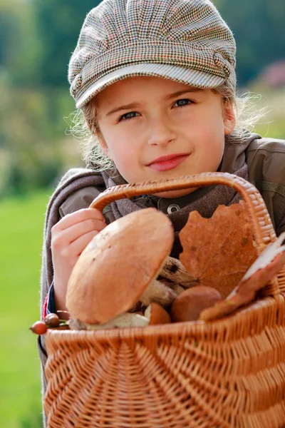 Mushrooms picking, season for mushrooms. — Stock Image Mushrooms picking, season for mushrooms. Stock Picture